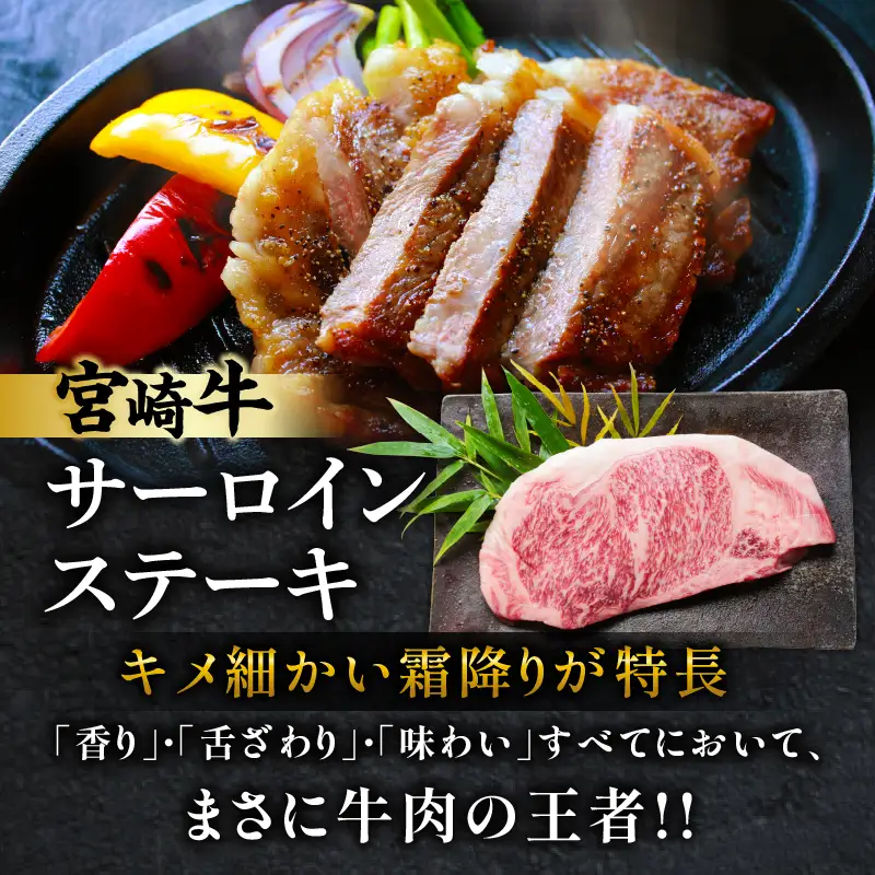 宮崎牛サーロインステーキ&肩(ウデ)すき焼き用セット合計500g 肉 牛 牛肉 焼肉 国産 _T009-0036