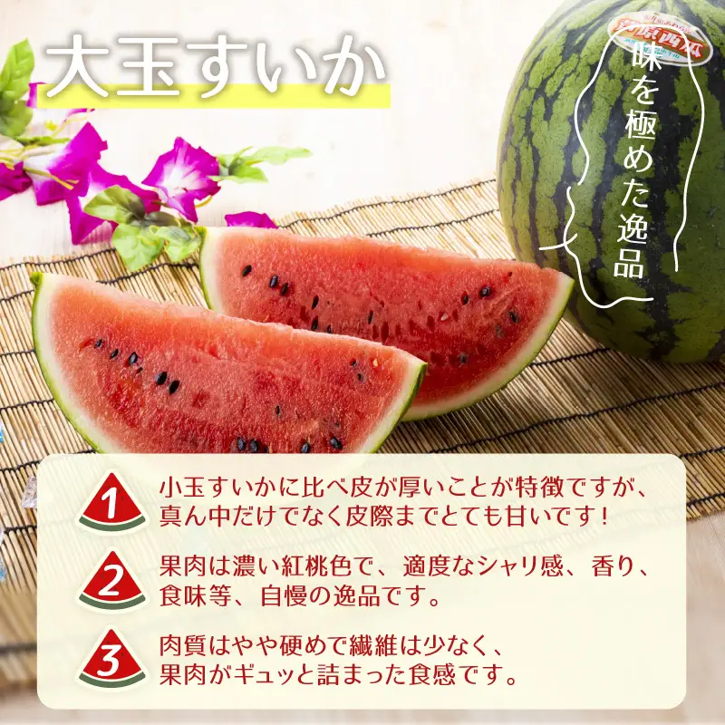 106千葉県産まるあさ大玉スイカ訳あり良品Lサイズ1箱2玉入り 先行予約】大玉スイカ（7kg以上 1玉入) 皮際まで甘い！シャリ感も抜群
