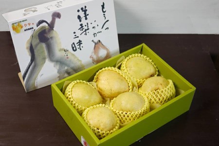 YN-09　鳥取県産洋ナシ ル・レクチェ梨　4kg