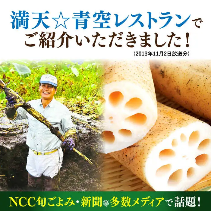 幻の唐比れんこん 2kg AHCA002 れんこん