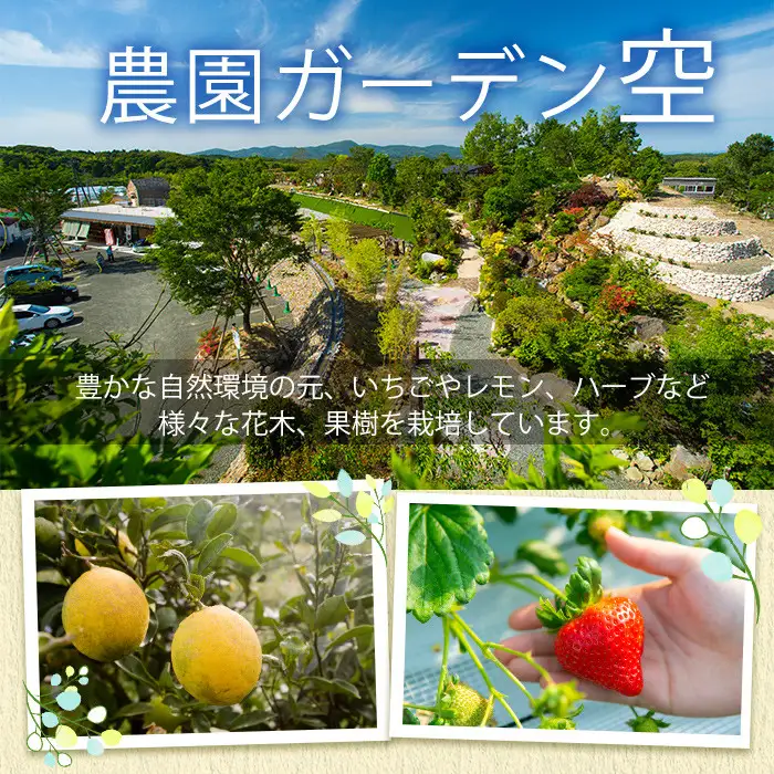 ＜先行予約受付中！2026年12月上旬以降順次発送予定＞凍眠君使用！農園ガーデン空産冷凍いちご(計1.8kg・600g×3P)国産 鹿児島県産 いちご イチゴ 苺 恋みのり 紅ほっぺ かおり野 フルーツ 果物 くだもの おやつ 冷凍 凍眠 フローズン 自社農園【農園ガーデン空】akn026-04