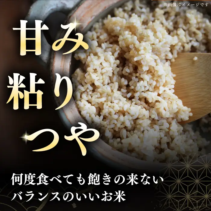【令和7年産】 玄米 ななつぼし さくら米 30kg 玄米 [AXAB036]