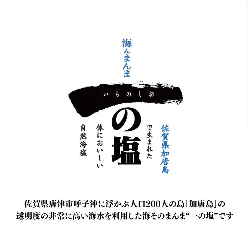 唐津 一の塩 1kg×5袋 (さらさらタイプ)