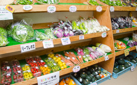 南ふらの産 じゃがいも 男爵 ＆ 玉ねぎ 約10kg 【サイズ混合】2026年発送 先行予約 北海道 南富良野町  玉葱 玉ネギ 玉ねぎ ネギ ねぎ じゃがいも ジャガイモ 先行予約 