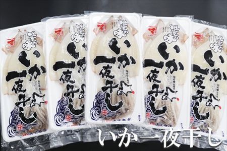 いか一夜干し2枚×8P C-32022