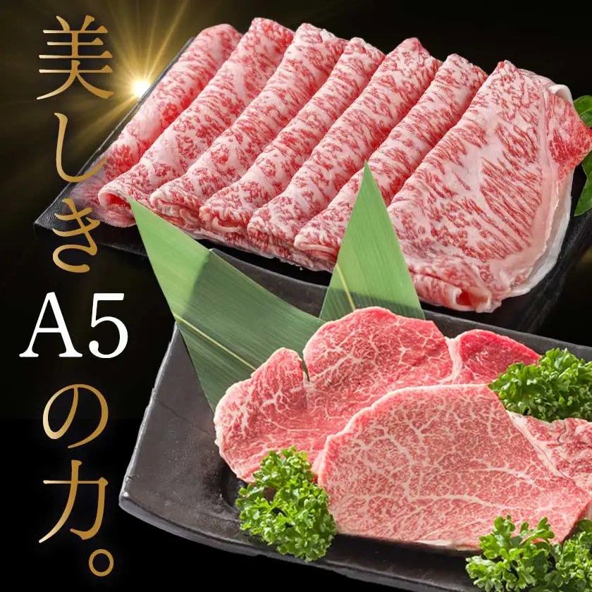 自分にご褒美！宮崎牛(A5)ヒレ＆ロースセット〔AE-0103〕_(都城市) 牛肉 牛ヒレステーキ ローススライス A5等級/A5ランク 真空パック ステーキソース・塩こしょう付 赤身 冷凍 精肉 ギフト 贈答用