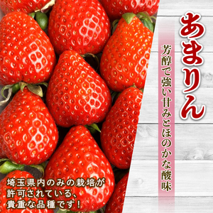 【予約】あまりん 苺 500g 全国いちご選手権 3年連続最高金賞 (250g×2P) 苺