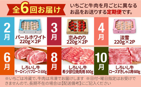 【先行予約 2027年2月～発送】【6回定期便】いちごと牛肉の贅沢定期便 / いちご 牛肉  [IZZ009]