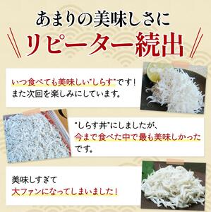 しらす 釜揚げ 1kg しらす 新鮮【uoms001】