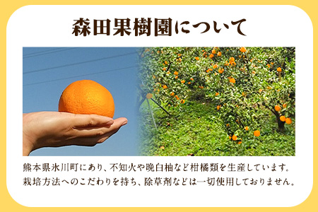 森田果樹園の不知火 3kg《2027年2月中旬-4月下旬頃出荷》森田果樹園 果物 フルーツ 柑橘 熊本