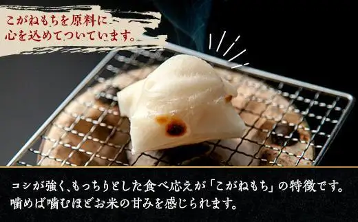 新潟県 南魚沼市 生切り餅 1kg 2個 計2kg もち モチ 黄金もち 雑煮 和菓子 やまと食品 大容量 お取り寄せ グルメ