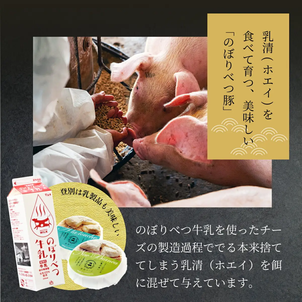 合計3.6kg！肉のあさひ大人気！【のぼりべつ乳清豚（ホエー）】ハンバーグ120g×10個[全3回お届け]