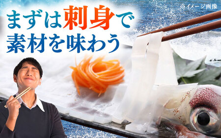 【対馬産】 剣先 イカ（ 生 冷凍 ）3枚刺身 塩辛 [WAB003] 刺身 剣先いか あかいか まるいか