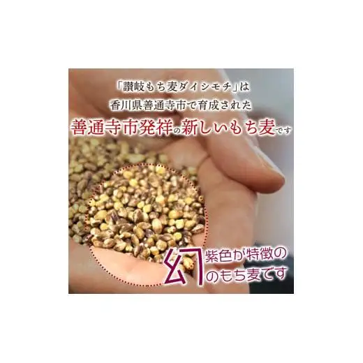 【生産者応援企画！】 讃岐もち麦「ダイシモチ」8kg（1ｋｇ×８袋） 保存に便利なジップ付き_Z2600019