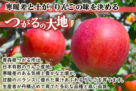 りんご サンふじ 約10kg (28玉から36玉) 青森産 つがる市【2026年11月下旬より順次発送】 [0992]