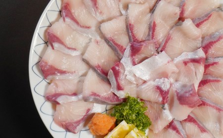 鮮度と味を閉じ込めた　ブリしゃぶセット（600g＋ブリカマ4食分付）