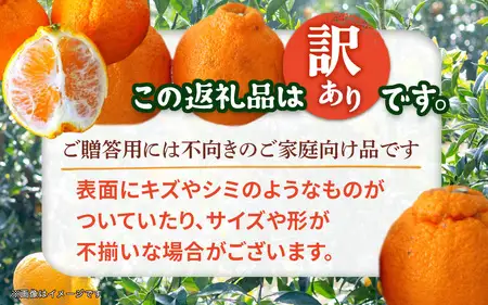 【2027年2月～3月頃発送予定】九州・福岡フルーツ王国八女｜ワケあり「不知火」（デコポンと同品種）約4kg（＋1kg傷み補償付き）＜配送不可：北海道・沖縄・離島＞ しらぬい 不知火 オレンジ みかん 福岡 訳あり 果物 072-167