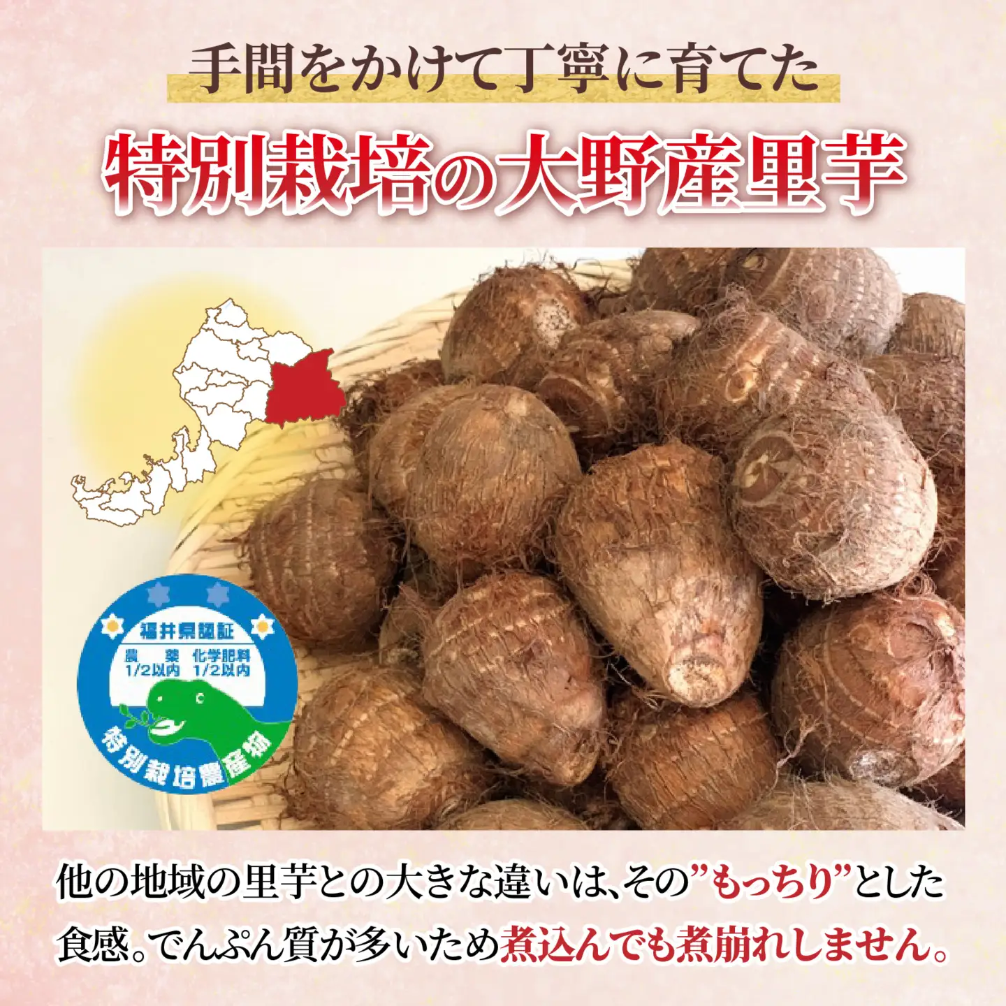 越前大野産 里芋【1月から順次発送】4.5kg 土付里芋 特別栽培  [A-008002]