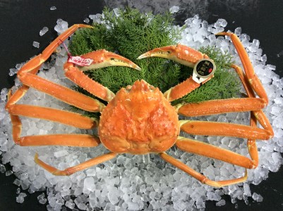 【松葉ガニ/3月上旬までの受付】【魚倉】五輝星 生 松葉ガニ （特特大1.2kg）