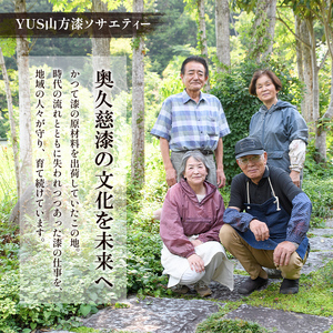 夫婦箸 箸 お箸 セット【夫婦箸】【ho0851】