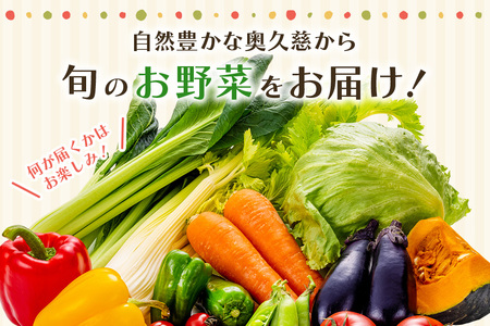 野菜 奥久慈産 旬の野菜詰め合わせ 季節 セット 【野菜】【ho0871】