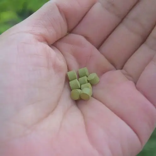 奇跡の植物＜モリンガ＞タブレット（5個セット） ☆ お手軽 持ち歩きに 読谷村産 飲みやすい 沖縄