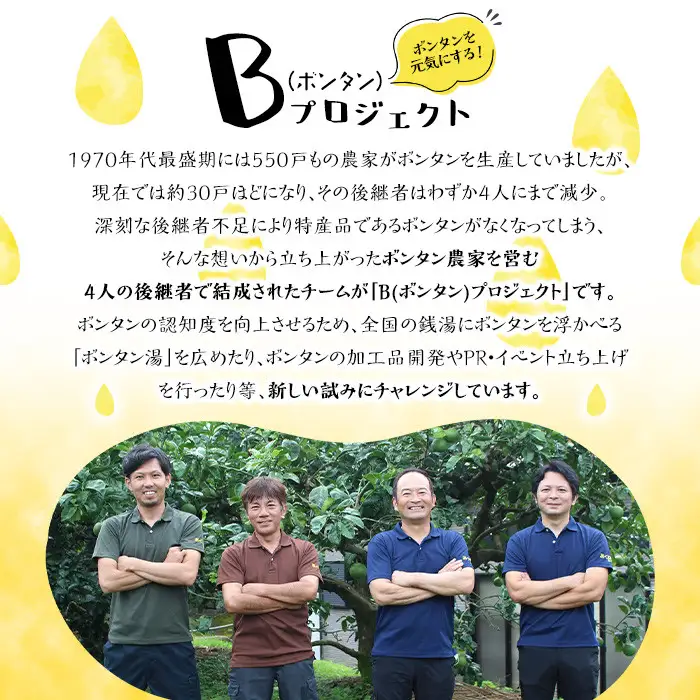 ボンタンサイダー(12本)一つ一つ手作業で皮を剥き、果汁をしぼり仕上げました！ぼんたん ボンタン 文旦 サイダー ジュース 飲み物 飲料 果汁 フルーツ 果物 炭酸【ボンタンプロジェクト】akn055-01