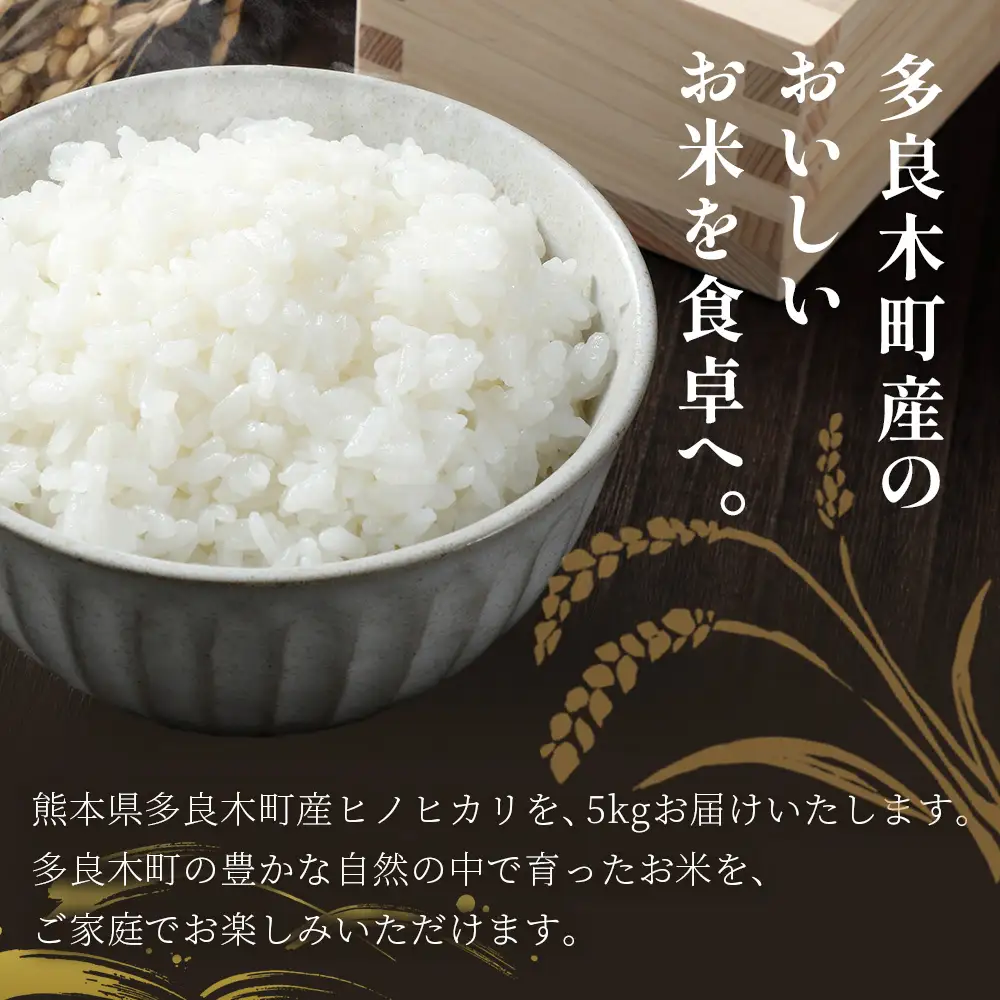 【お米】 令和7年産 多良木町産 ヒノヒカリ 5kg  【 熊本県 ひのひかり お米 新米 ごはん 白ごはん 美味しい米 白米 米 精米 ご飯 黄金晴 熊本県産 送料無料】 053-0508