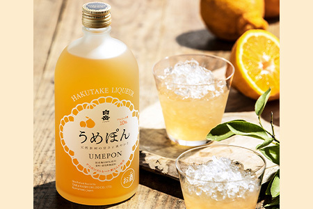 白岳 リキュール 2本セット 計1.44L ＜うめぽん (10度)＞＜ ゆずもん (8度)＞ 炭酸割りで！ 本格 本格米焼酎 米焼酎 焼酎 しょうちゅう お酒 酒 さけ 梅酒 梅 うめ デコポン ゆず ユズ 柚子 果汁 白岳 リキュール酒 シトラス 飲み比べ セット リキュールセット ストレート ブレンド 上品 上品な甘さ ロック 炭酸割り ソーダ割 ギフト 贈り物 アルコール 熊本県 多良木町 018-0205