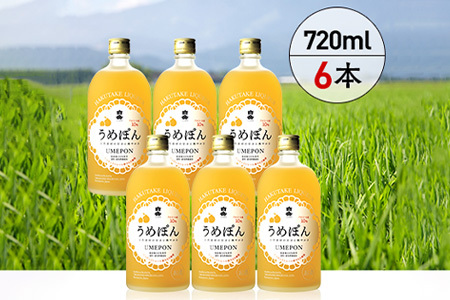 白岳 うめぽん 梅酒 10度 720ml ×6本セット 計4.32L うめ酒 梅酒 梅 うめ お酒 酒 さけ はくたけ 白岳うめぽん 本格 本格米焼酎 米焼酎 焼酎 しょうちゅう  果汁 ブレンド デコポン 果汁入り リキュール セット ロック ソーダ割り スッキリ 飲みやすい 熊本県 熊本 多良木町 多良木 018-0215