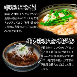 牛ホルモン鍋・牛煮込みセット お鍋セット | お肉 肉 牛 牛肉 牛ホル ホルモン 鍋 大分県産 九州産 中津ホルモンセンター 国産 送料無料 大分県 中津市