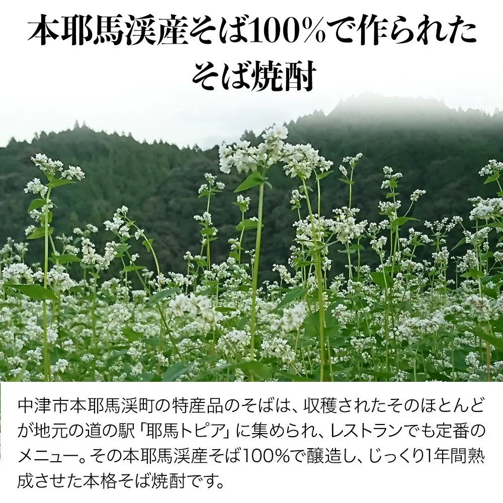 耶馬渓そば焼酎（いちそば）720ml×2本 | 耶馬トピア 大分県 中津市の美味しい 地酒 大分県 中津産 九州 送料無料