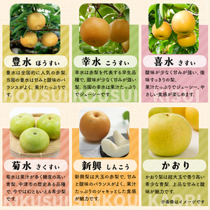 西江豊水園の菊水梨 約3kg ( 8個前後 ) | フルーツ 果物 くだもの 果実 数量限定 旬 完熟梨 梨 なし ナシ 菊水 菊水梨 和梨 3kg 3キロ 新鮮 産地直送 大分県産 九州産 国産 大分県 中津市