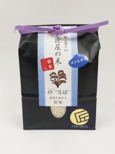 さくら市産お米食べ比べ＆もち麦セット≪2021年産 贈り物 プレゼント ギフト≫◇