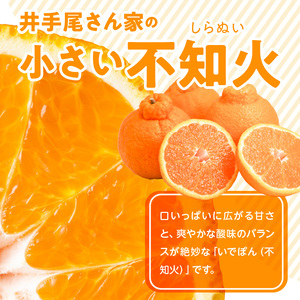 S086-007A_訳あり 不知火 約 9kg 数量限定〈先行予約〉