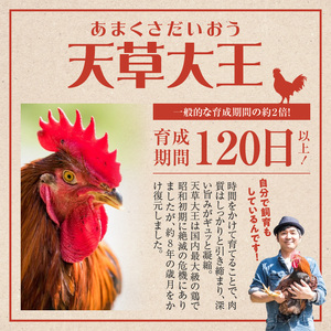S081-009A_「天草大王」味付け肉 約3～4人前