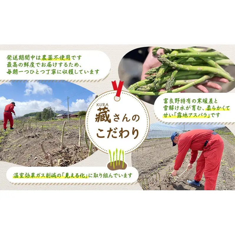 アスパラガス 富良野産 緑 2Lサイズ 露地【約1kg 15〜28本】【先行予約】