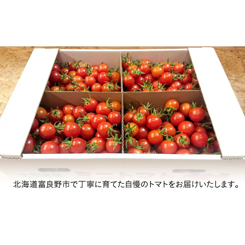 【2026年7月より発送】北海道 富良野市産 完熟ミニトマト（キャロル10）約3kg トマト 甘い 野菜 新鮮 数量限定 先着順【藏ファーム】
