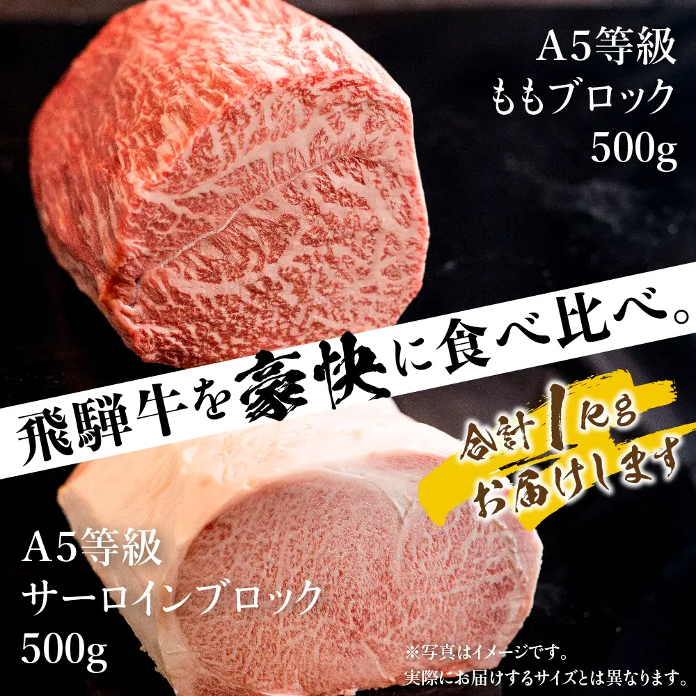 牛肉 A5 飛騨牛 ブロック ２種食べ比べ 1kg（サーロイン500g もも500g） 牛肉 LR001