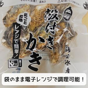 白方かき 電子レンジでお手軽調理　殻付きかき(加熱用)　500g×2袋【令和9年1月頃から4月頃までの期間限定出荷】【L-31】