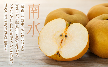 南水 4kg 10～12玉 贈答用 南水
