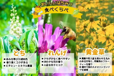 国産純粋完熟はちみつ小瓶セット(れんげ・とち・黄金草)[16-1052]