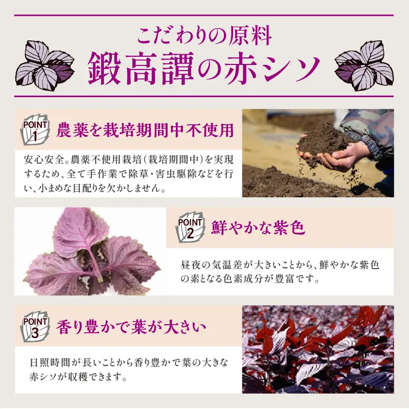 鍛高譚（たんたかたん）・鍛高譚の梅酒[720ml]【8本セット】_I023-0039