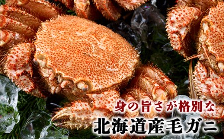 前浜茹で毛がに 約650g～700g×2尾＜株式会社 鳥潟＞ かに カニ 蟹 ガニ がに 森町 ふるさと納税 北海道 毛蟹 毛かに 毛ガニ 毛カニ F4C-0088