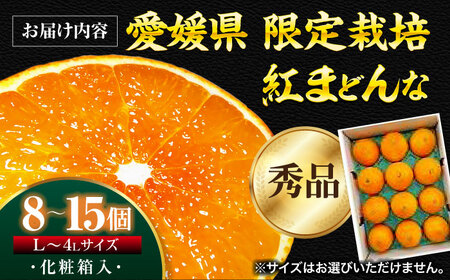 紅まどんな（8個-15個）【11月下旬から順次発送】紅まどんな みかん[AGBA001]