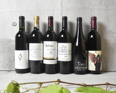 赤ワイン飲みくらべ6本セット(KSB)【品種別】J-620