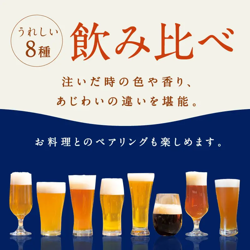 クラフトビール／クラフトビールTANGO KINGDOM Beer® 8種セット人気クラフトビール　ビール