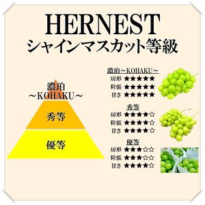 ＜2026年発送先行予約＞山梨県南アルプス市産シャインマスカット　濃珀【～KOHAKU～】700g以上　1房入り ALPAH024