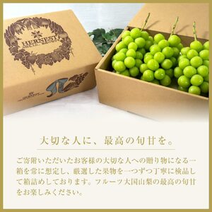 ＜2026年発送先行予約＞山梨県南アルプス市産シャインマスカット　濃珀【～KOHAKU～】約1.8ｋｇ　3～5房入り ALPAH026