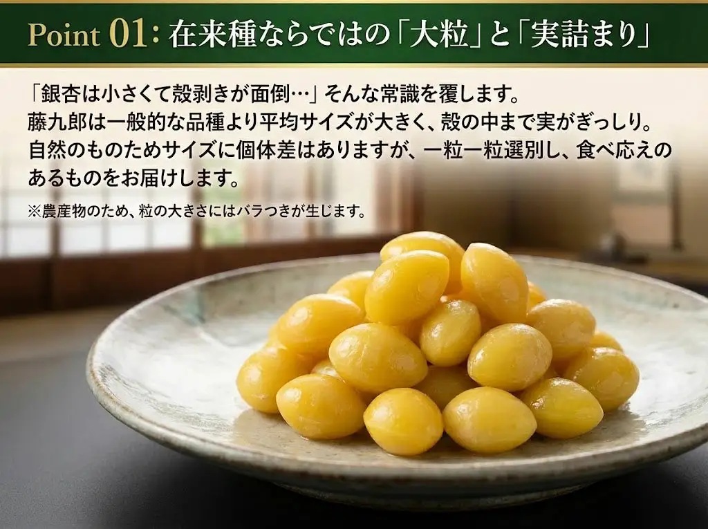 藤九郎 ぎんなん（大粒）1kg | ぎんなん 銀杏 大粒 もちもち おつまみ